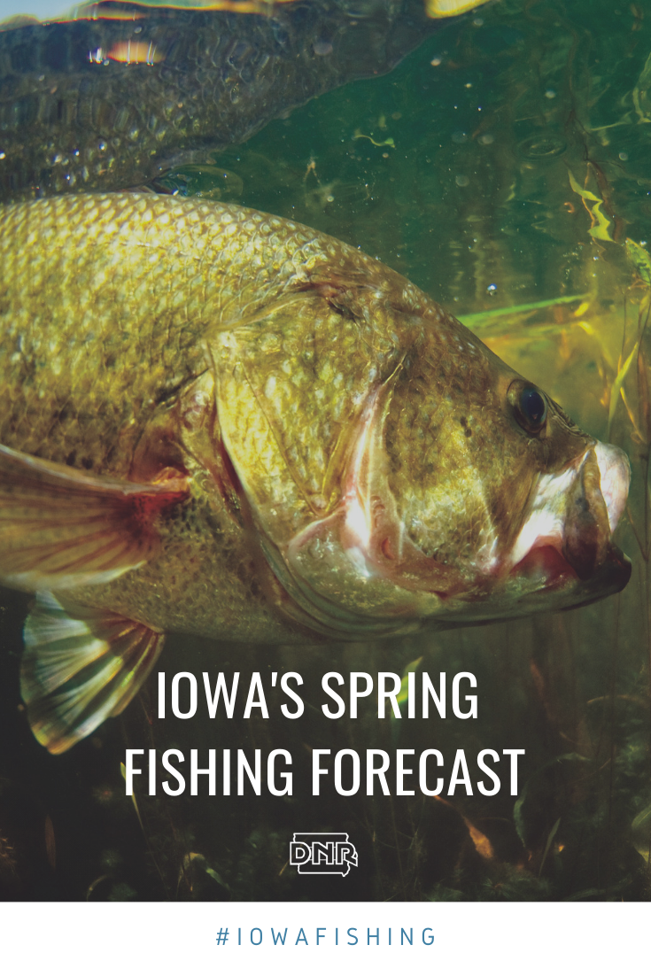 Catch the big one with our spring fishing forecast  |  Iowa DNR